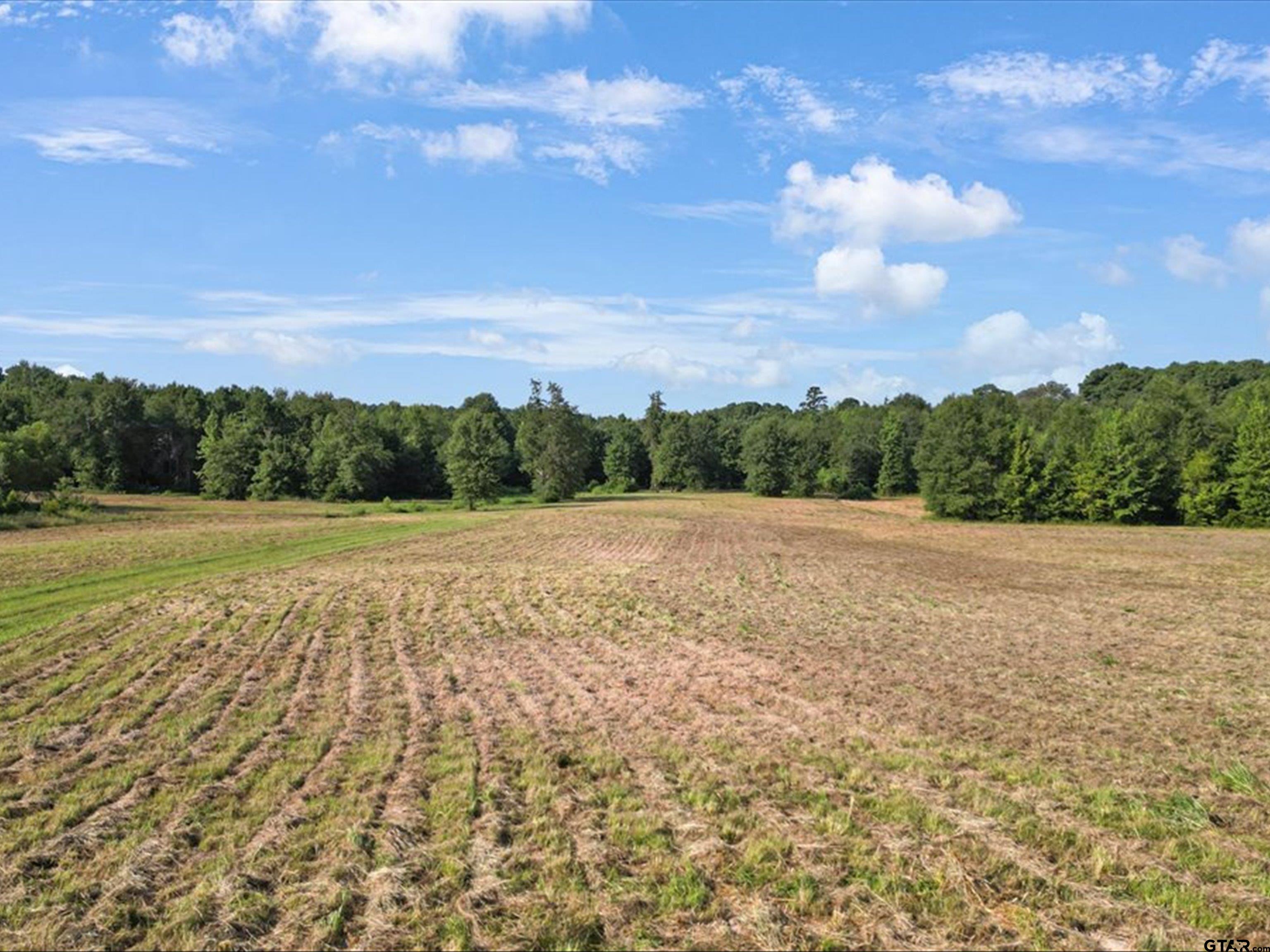67-acres South Live Oak Road Gilmer, TX 75644 - Photo 9 of 18 a view of lake view and mountain