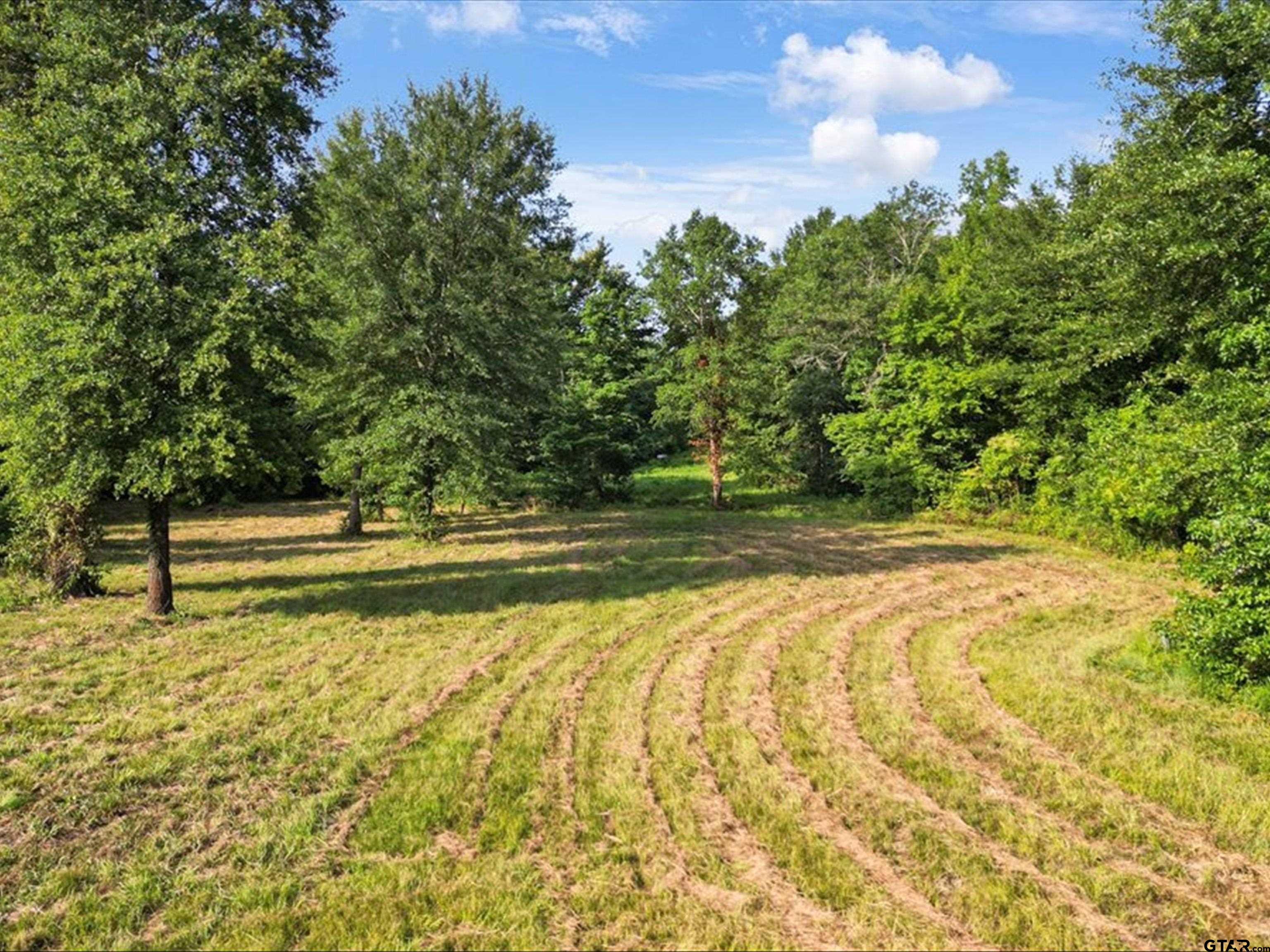 67-acres South Live Oak Road Gilmer, TX 75644 - Photo 10 of 18 a view of backyard with green space