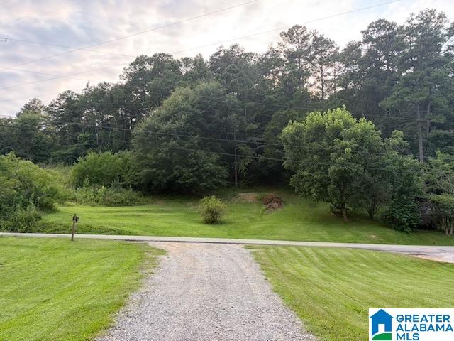 163 Glaze Creek Road Bessemer, AL 35023 - Photo 21 of 21