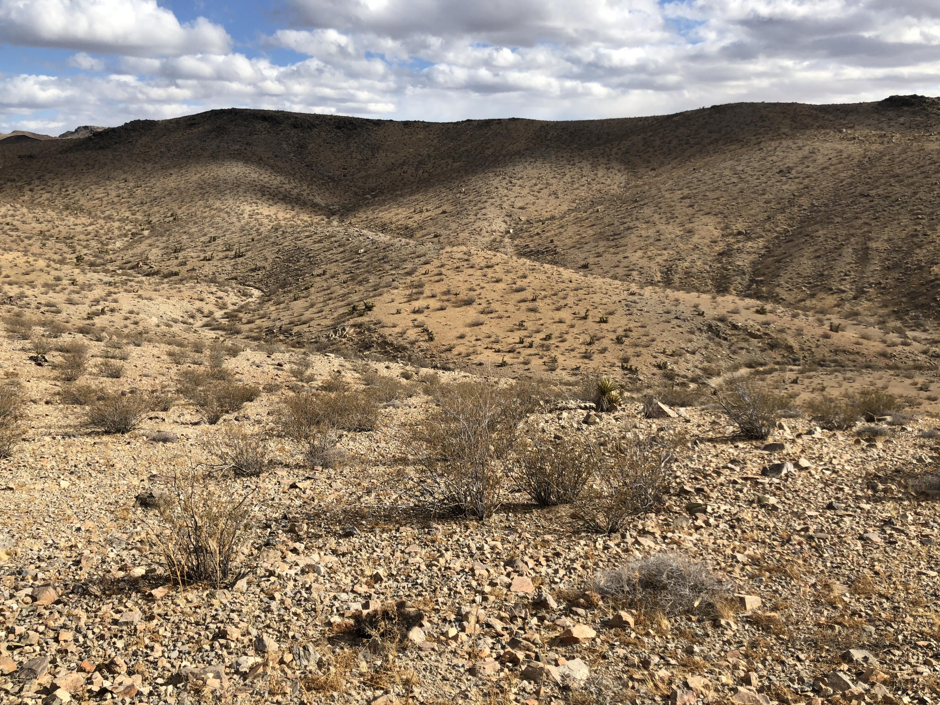 0 Cal Electric Road Barstow, CA 92311 - Photo 4 of 24