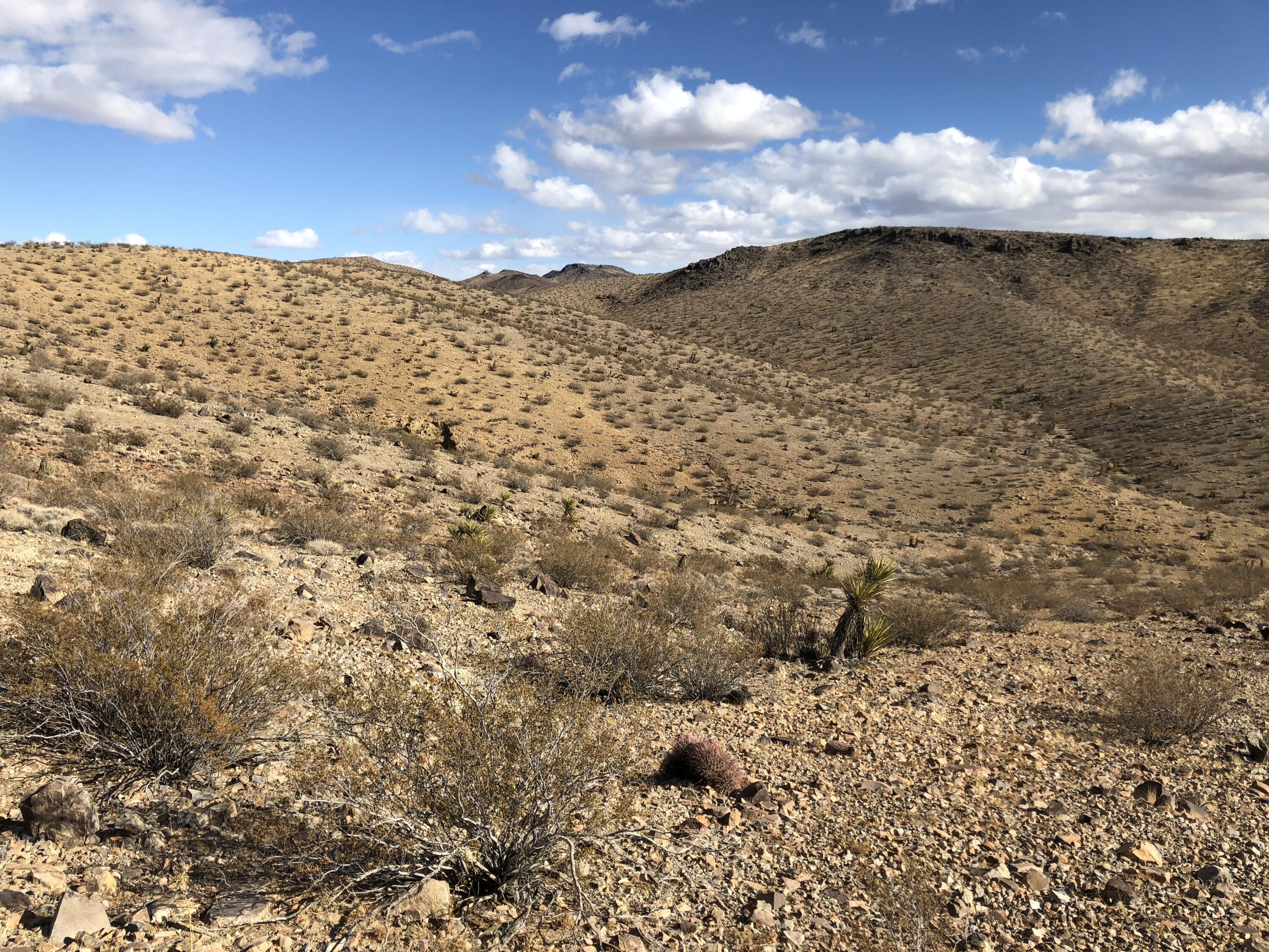 0 Cal Electric Road Barstow, CA 92311 - Photo 5 of 24 a view of ocean