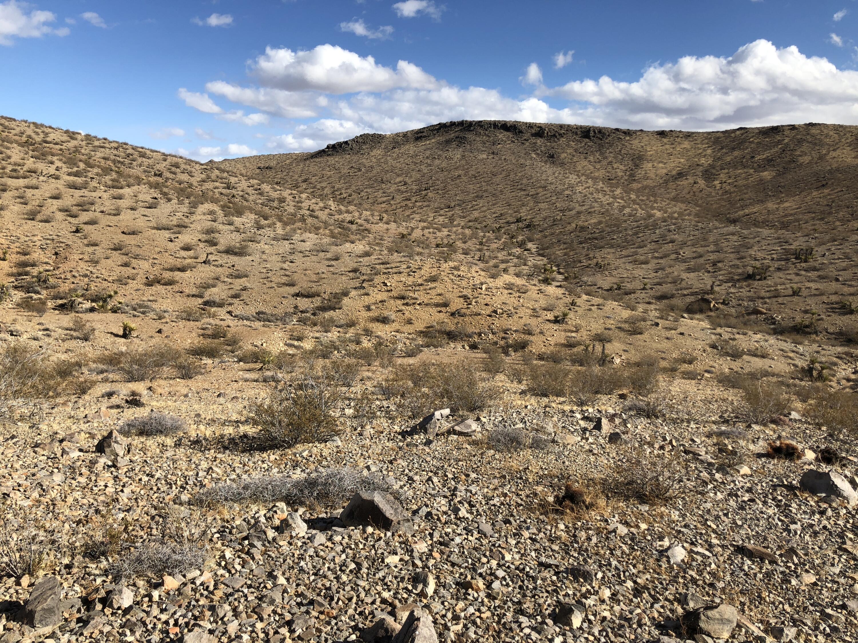 0 Cal Electric Road Barstow, CA 92311 - Photo 6 of 24 a view of a sky
