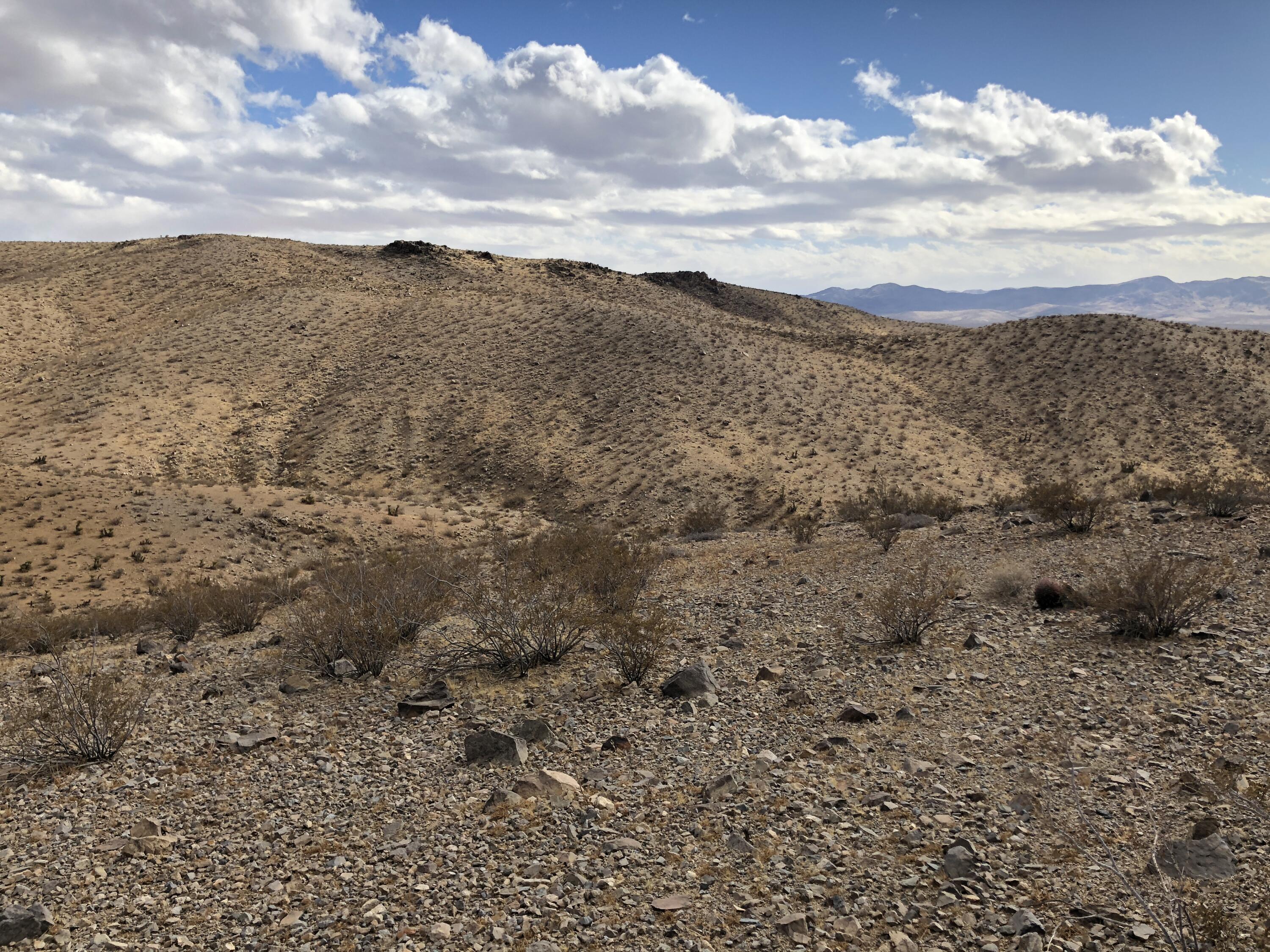0 Cal Electric Road Barstow, CA 92311 - Photo 7 of 24 a view of a dry yard with mountains in the background