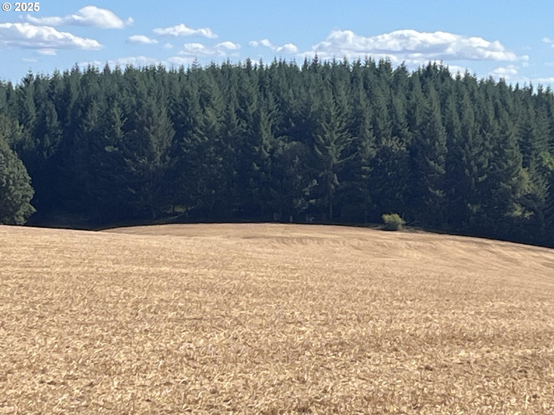 21076 Northwest Green Mountain Road Banks, OR 97106 - Photo 13 of 46 a view of lake view and mountain view