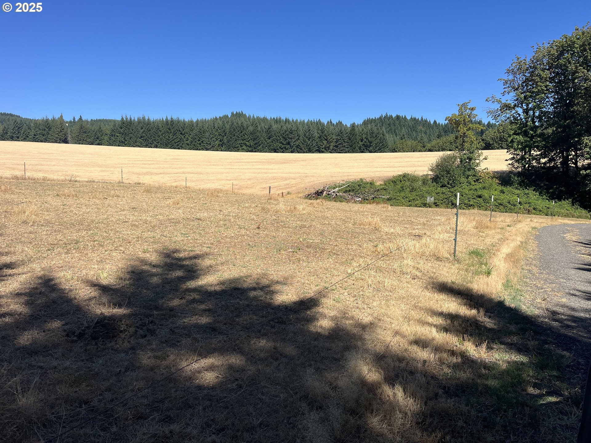 21076 Northwest Green Mountain Road Banks, OR 97106 - Photo 14 of 46 a view of lake and mountain