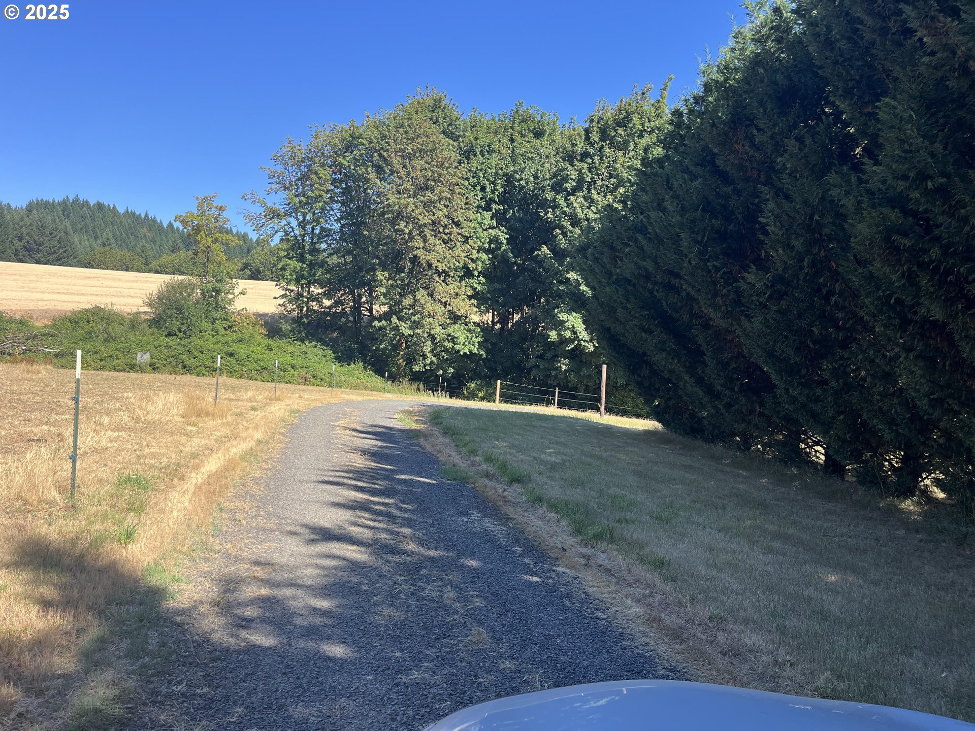 21076 Northwest Green Mountain Road Banks, OR 97106 - Photo 4 of 46 a view of a backyard of the house