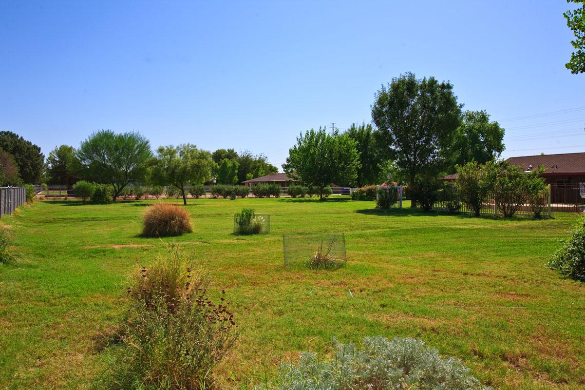 3086 East Campbell Road Gilbert, AZ 85234 - Photo 11 of 11 Lot