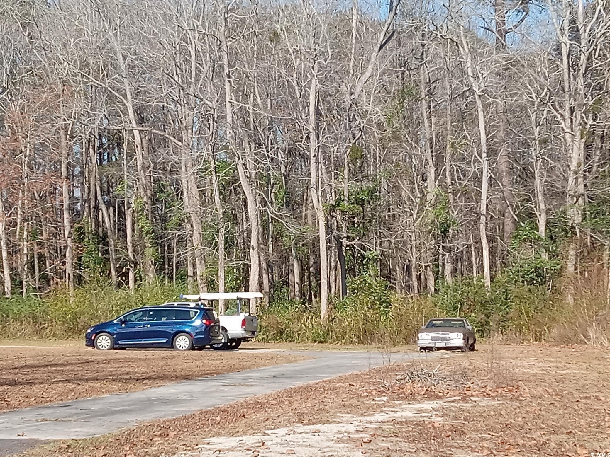 3751 Green Sea Road Green Sea, SC 29545 - Photo 1 of 5 View of road with a view of trees