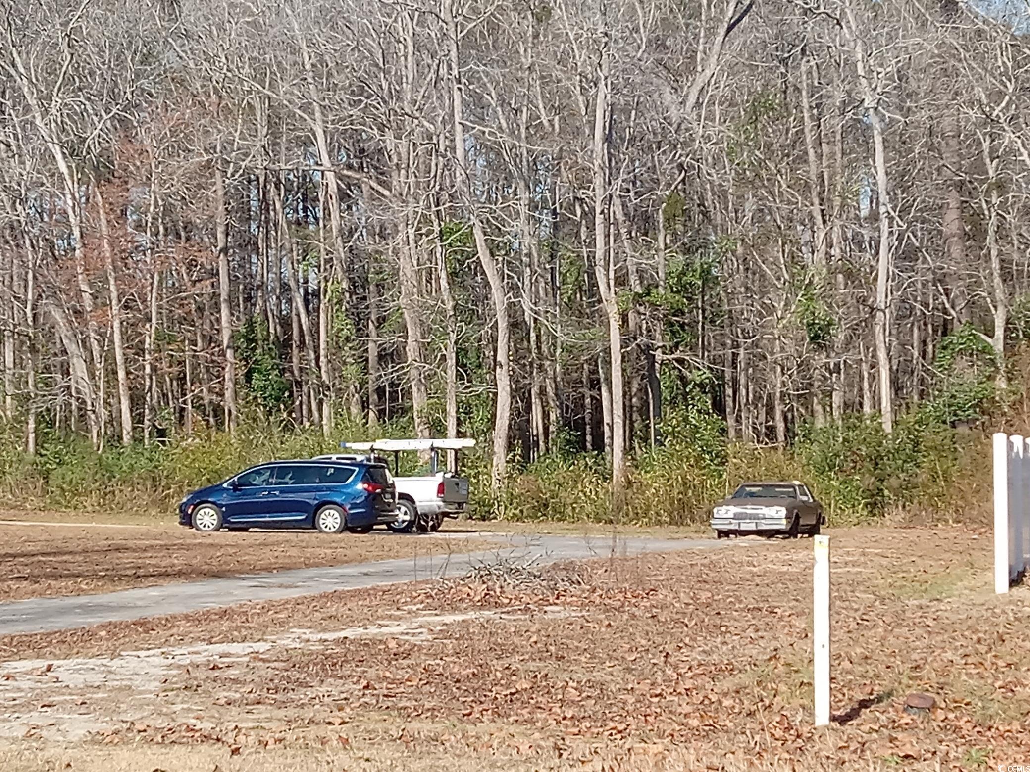 3751 Green Sea Road Green Sea, SC 29545 - Photo 4 of 5 View of street with a wooded view