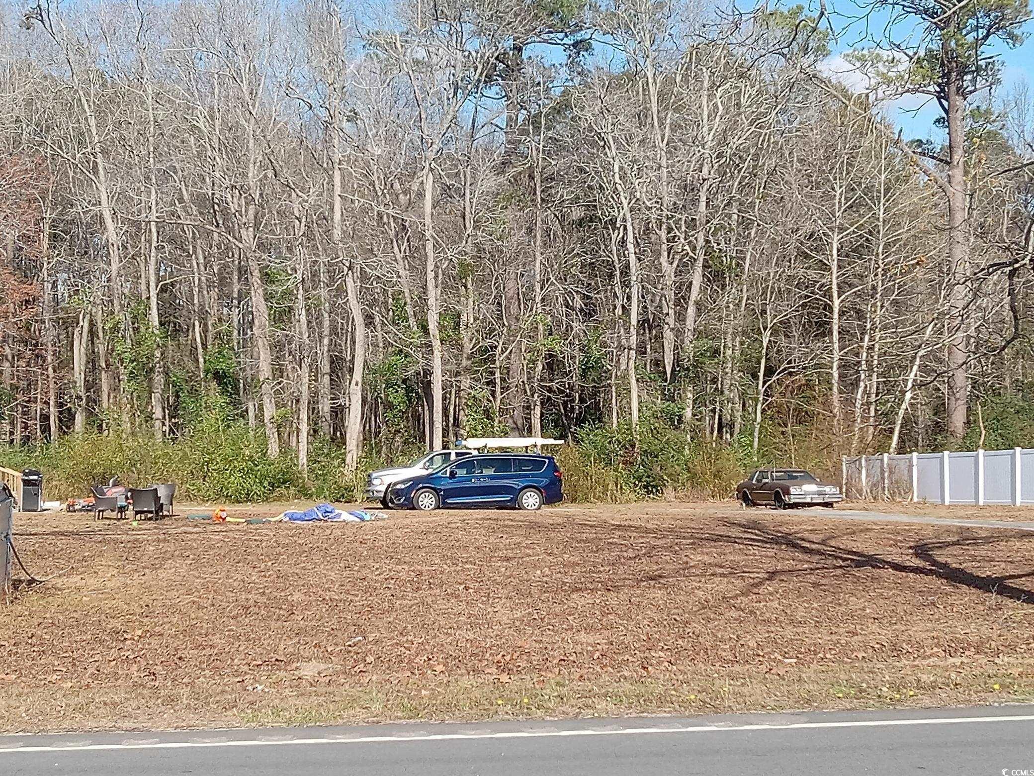 3751 Green Sea Road Green Sea, SC 29545 - Photo 5 of 5 View of yard