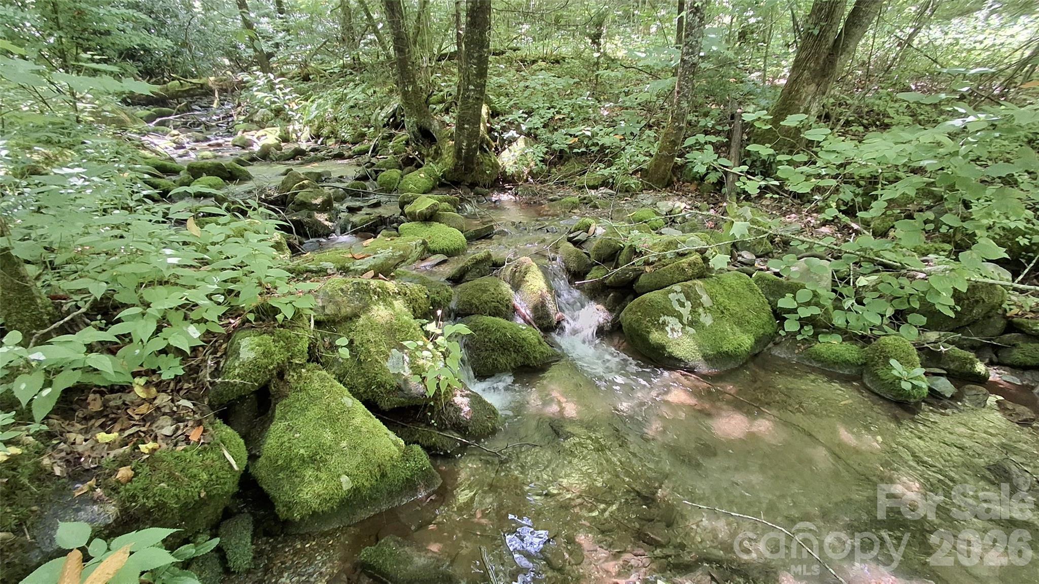 0 Dry Creek Road Robbinsville, NC 28771 - Photo 10 of 20