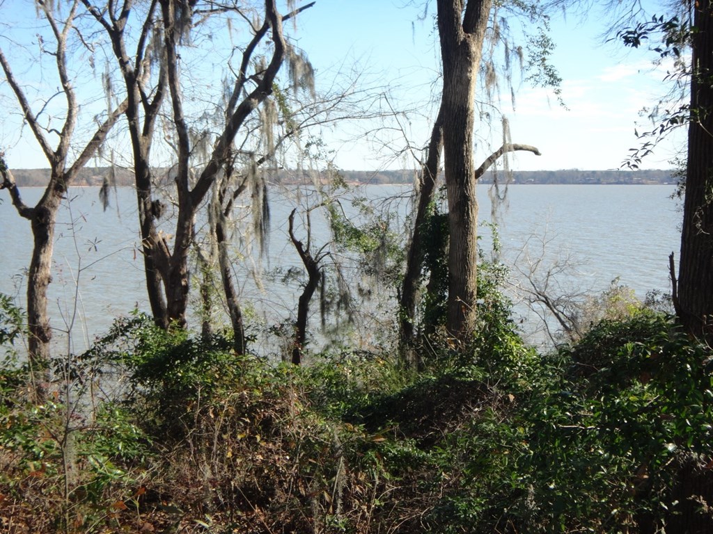 2791 Calhoun Drive Abbeville, AL 36310 - Photo 8 of 12