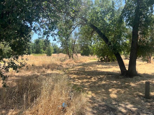 0 Dry Creek Road Rio Linda, CA 95673 - Photo 4 of 11 a view of a yard with a tree