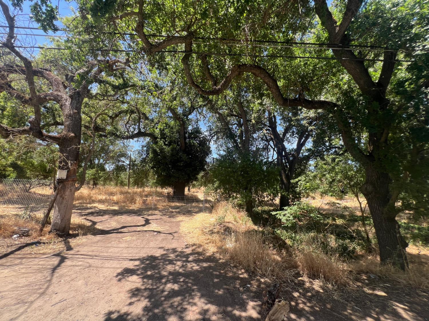 0 Dry Creek Road Rio Linda, CA 95673 - Photo 5 of 11 a view of road and trees