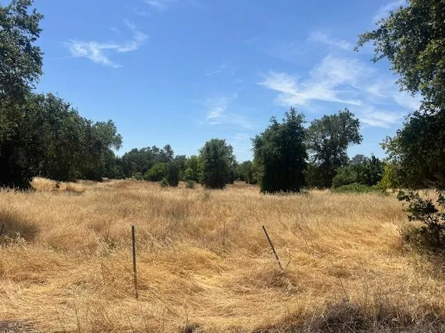 a view of a yard with trees in the background