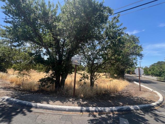 0 Dry Creek Road Rio Linda, CA 95673 - Photo 10 of 11 a view of a yard with plants and trees