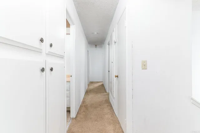 a bathroom with a shower and a toilet