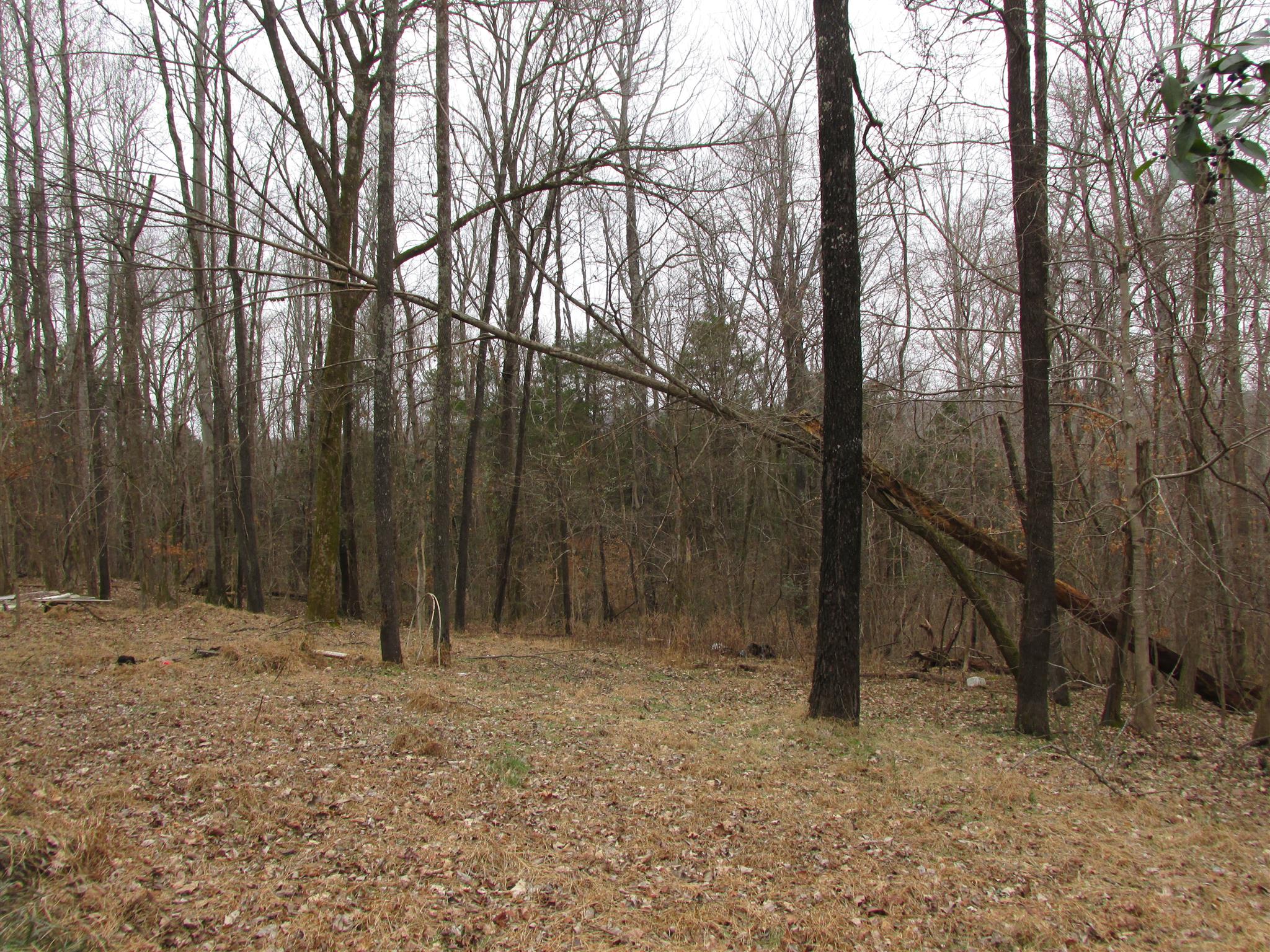 3099 Jarrell Ridge Road Clarksville, TN 37043 - Photo 1 of 18 Gallery Image 1