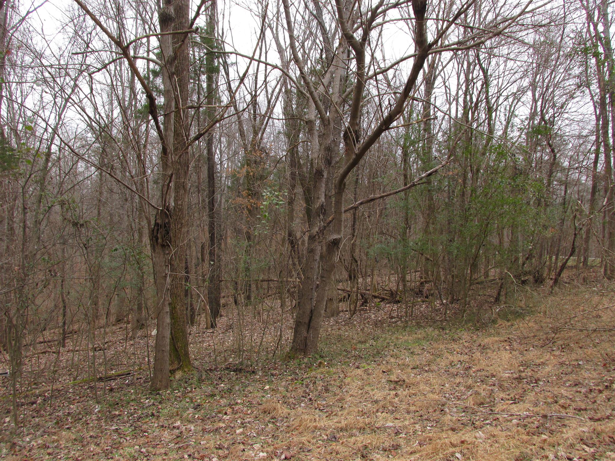 3099 Jarrell Ridge Road Clarksville, TN 37043 - Photo 2 of 18 Gallery Image 2