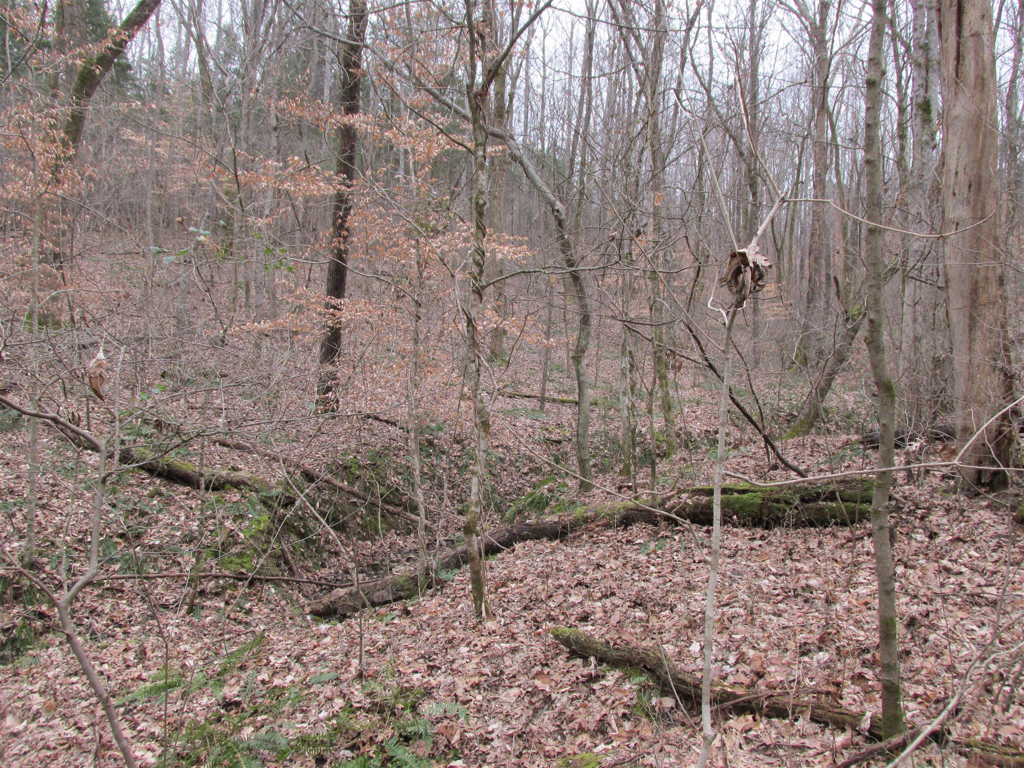 3099 Jarrell Ridge Road Clarksville, TN 37043 - Photo 13 of 18 Gallery Image 13