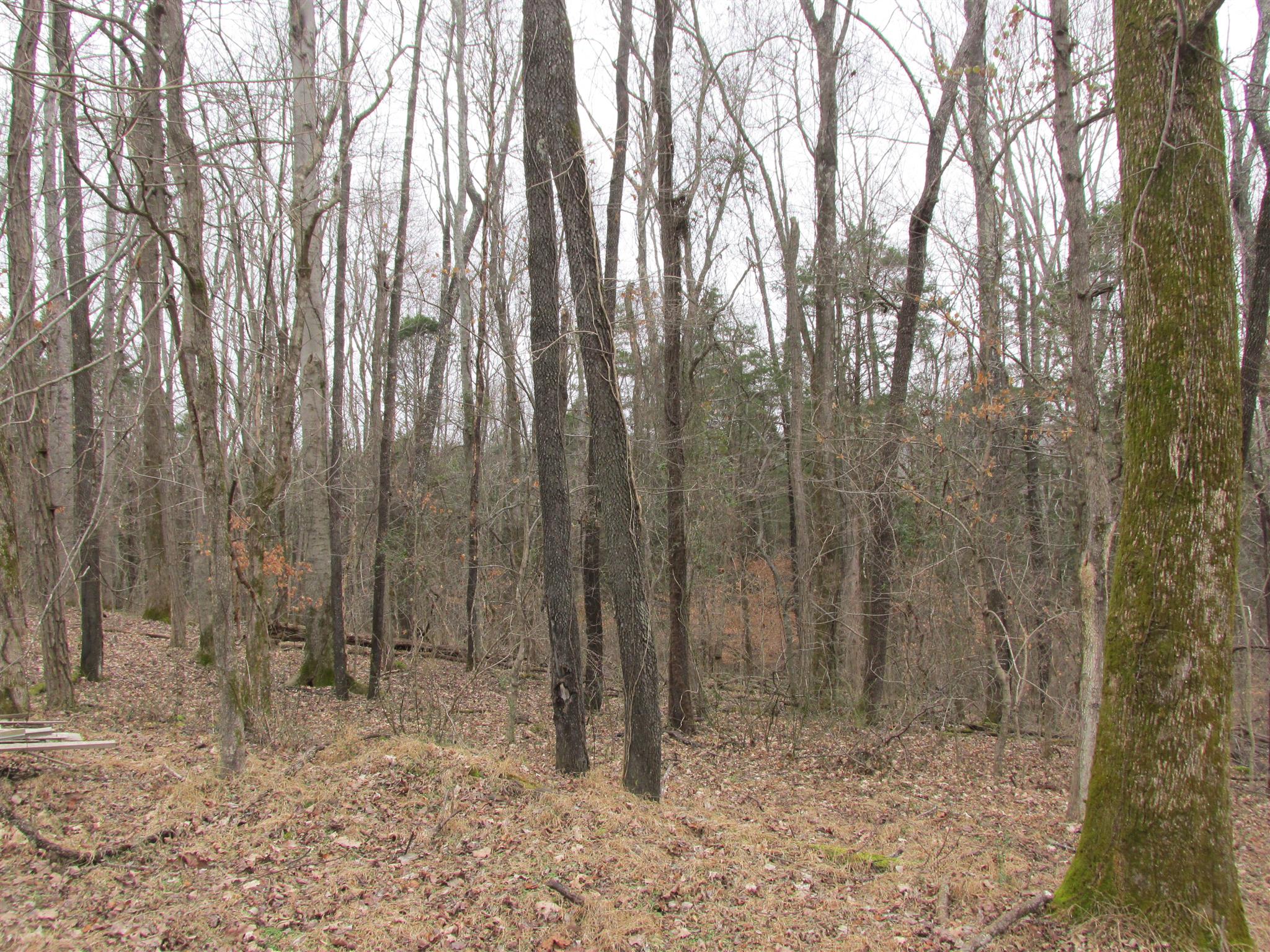 3099 Jarrell Ridge Road Clarksville, TN 37043 - Photo 3 of 18 Gallery Image 3