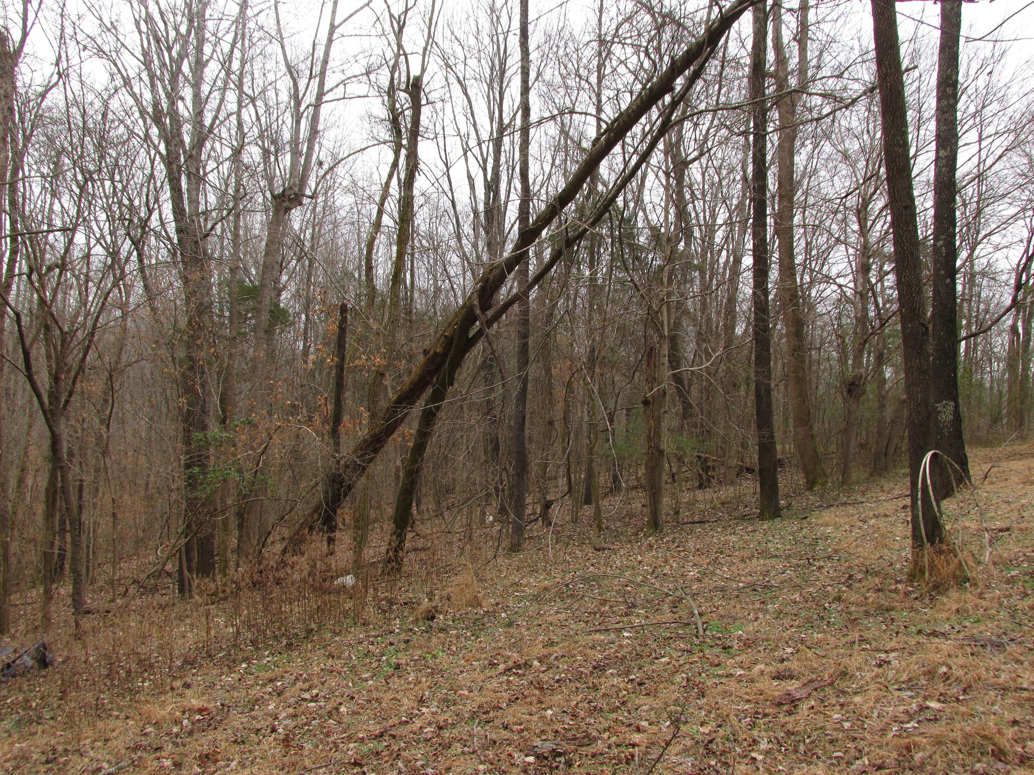 3099 Jarrell Ridge Road Clarksville, TN 37043 - Photo 4 of 18 Gallery Image 4
