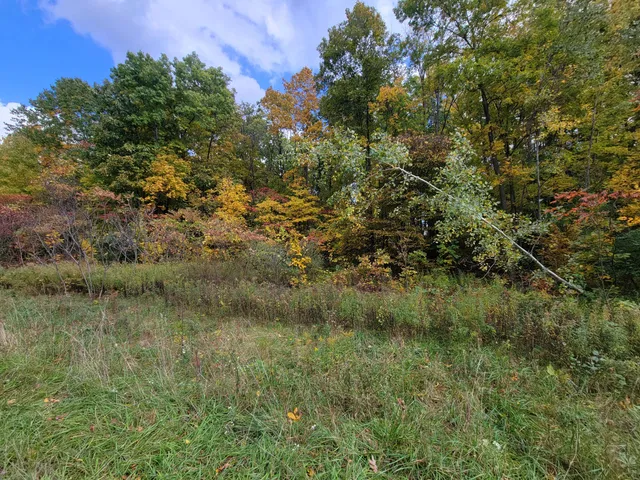 $26,500 | 74066 Ridgeway Drive, Lawton, MI 49065