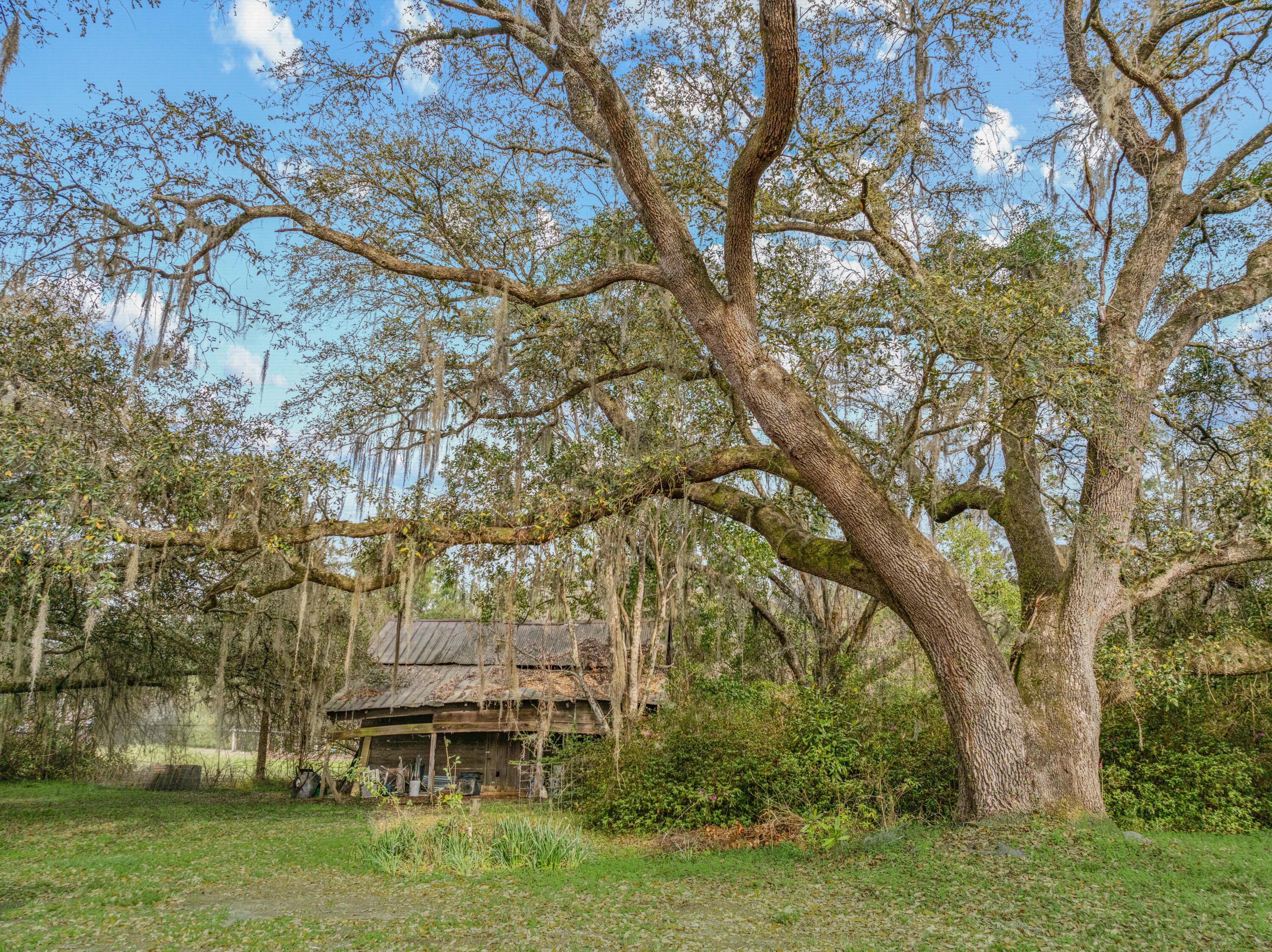 2185 State Rd S-15-233 Walterboro, SC 29488 - Photo 6 of 29 2185Peniel.NicoleBurbagePhoto-25