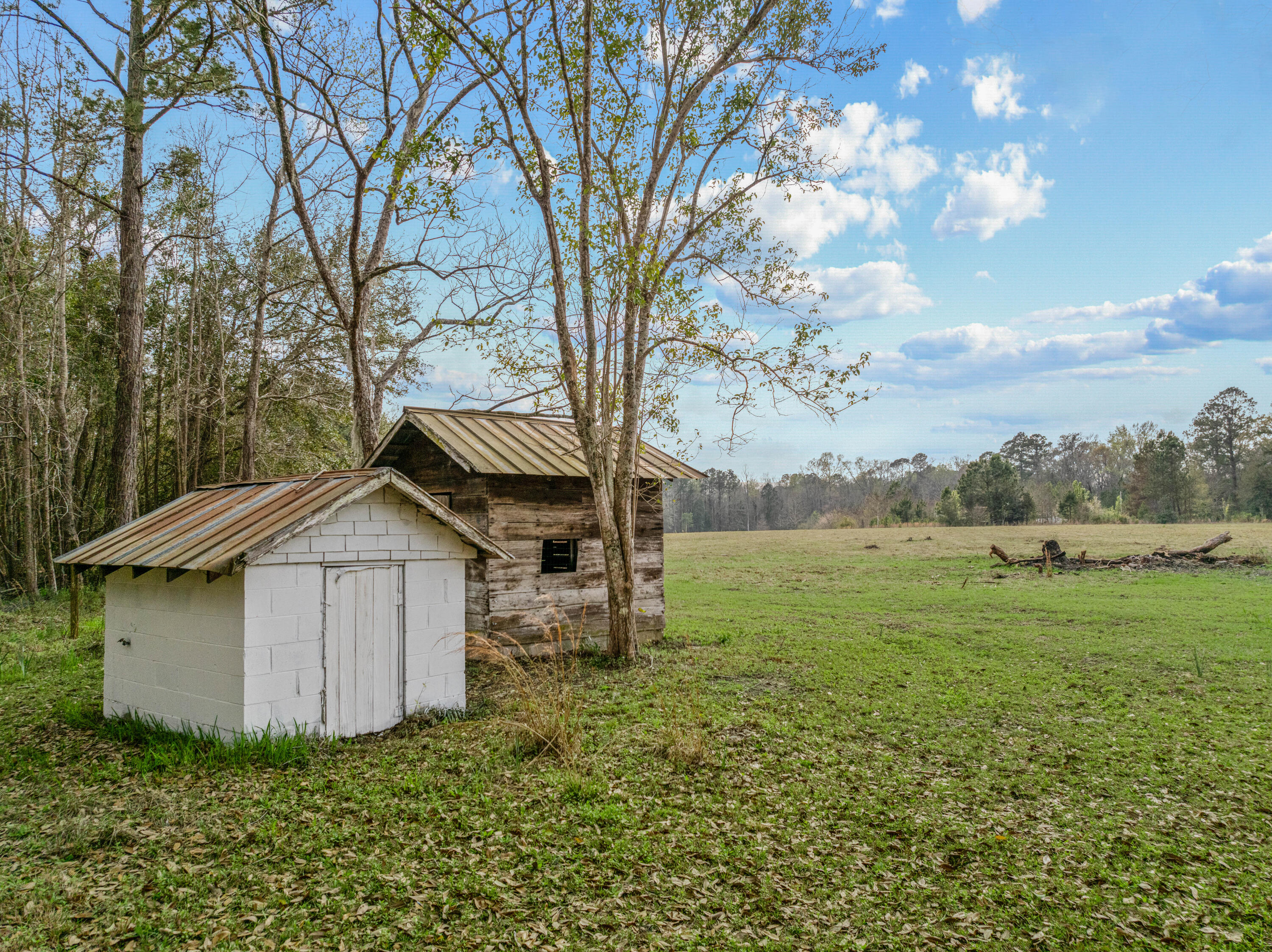 2185 State Rd S-15-233 Walterboro, SC 29488 - Photo 10 of 29 2185Peniel.NicoleBurbagePhoto-24
