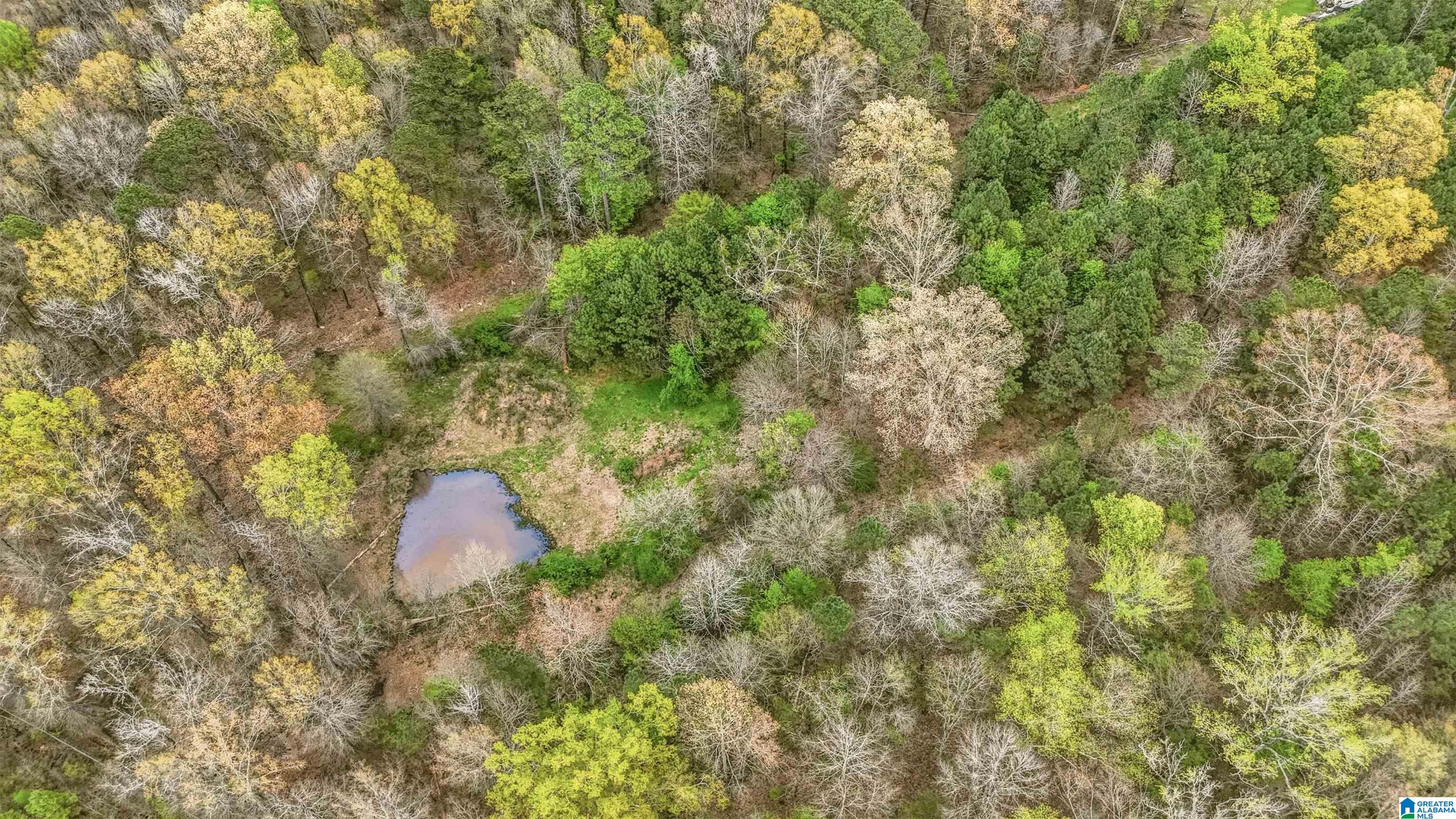 5785 Eastern Valley Road McCalla, AL 35111 - Photo 45 of 54