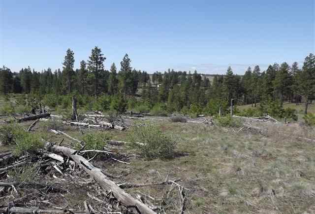 Xxx North Rambo Road Spokane, WA 99224 - Photo 3 of 11