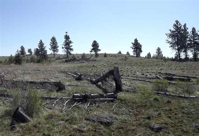Xxx North Rambo Road Spokane, WA 99224 - Photo 8 of 11