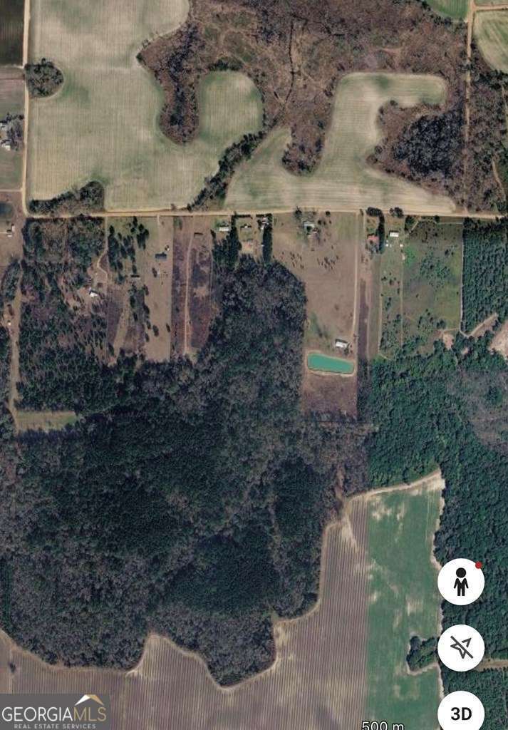0 Story Road Arabi, GA 31712 - Photo 3 of 3