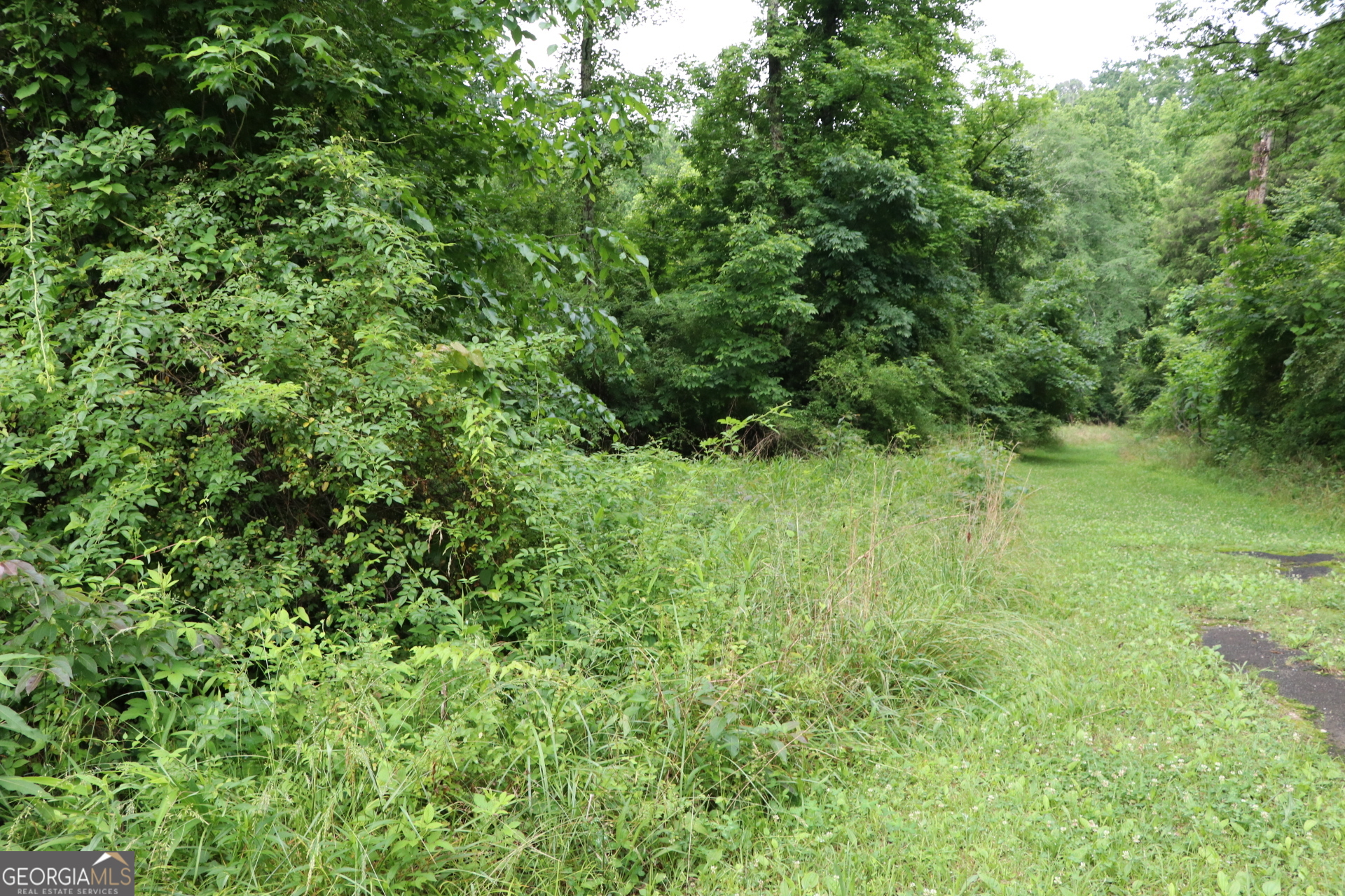 833 Neal Gap Road Summerville, GA 30747 - Photo 18 of 86