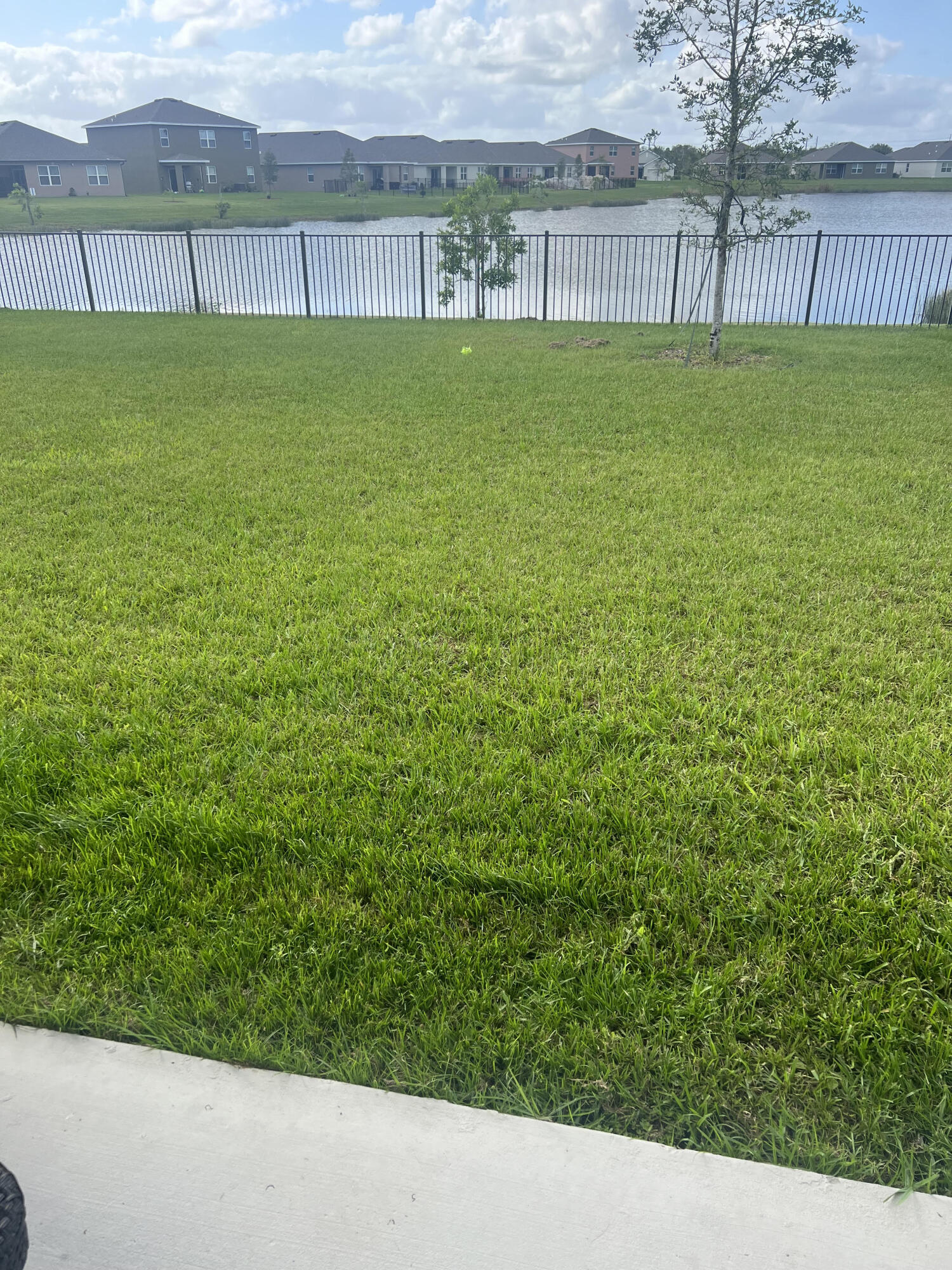 3213 Trinity Circle Fort Pierce, FL 34945 - Photo 19 of 20 a view of a back yard