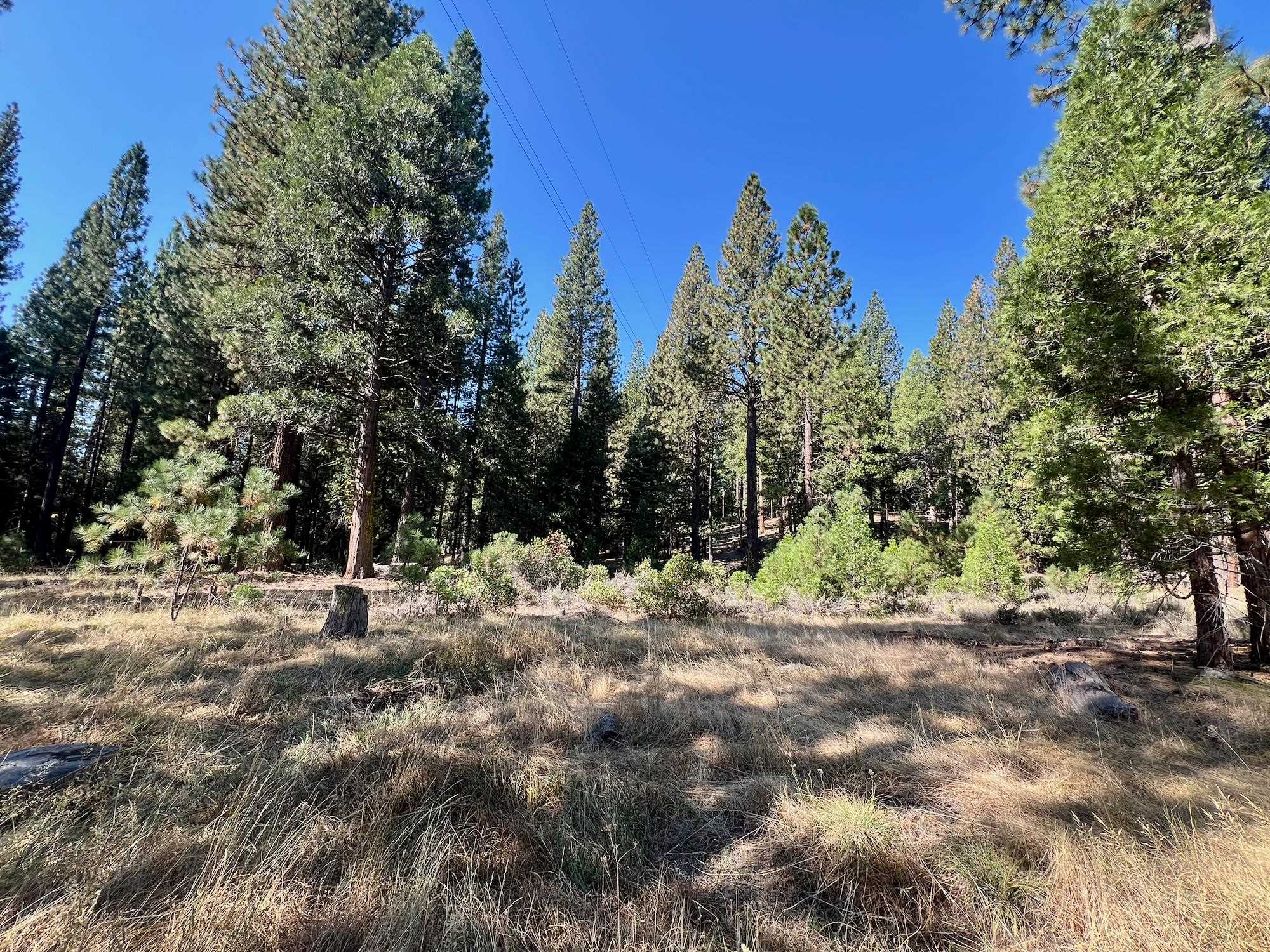 1651 Woodpecker Road Clio, CA 96106 - Photo 36 of 50 Gallery Image 36