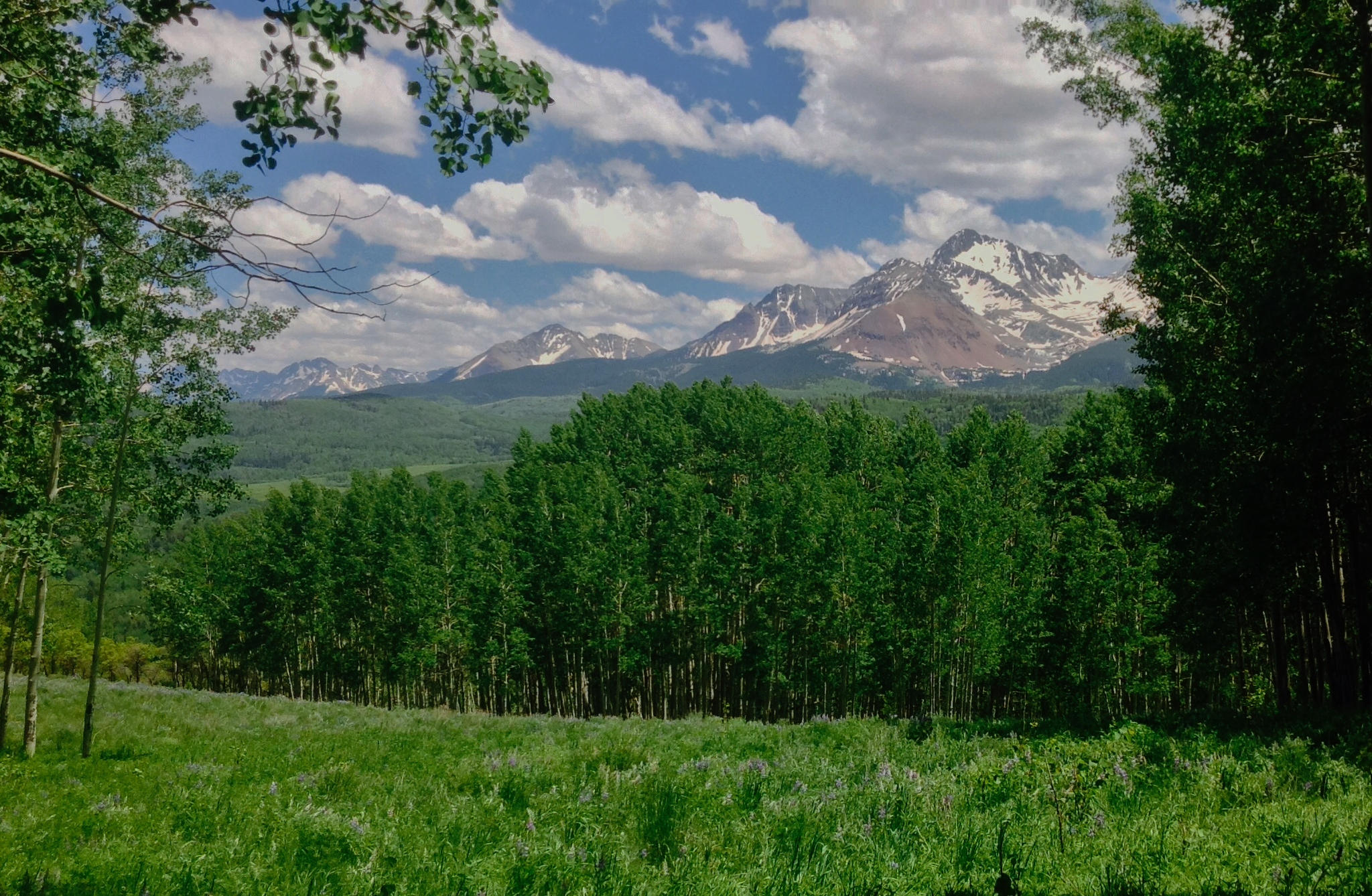 Homesite w Direct View to The Wilsons