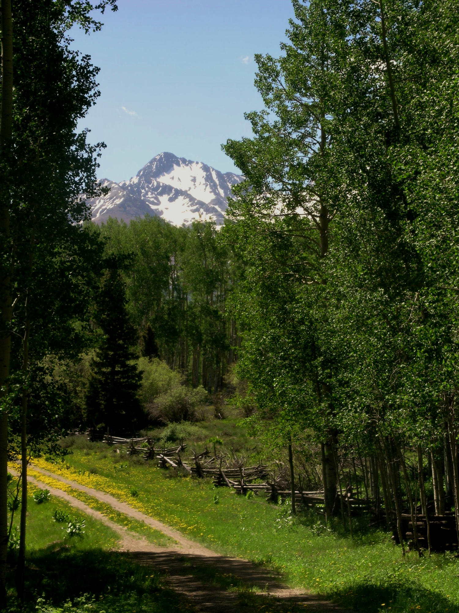 Lot 21 Little Cone Ranch Road Placerville, CO 81430 - Photo 12 of 24 A private getaway starts here