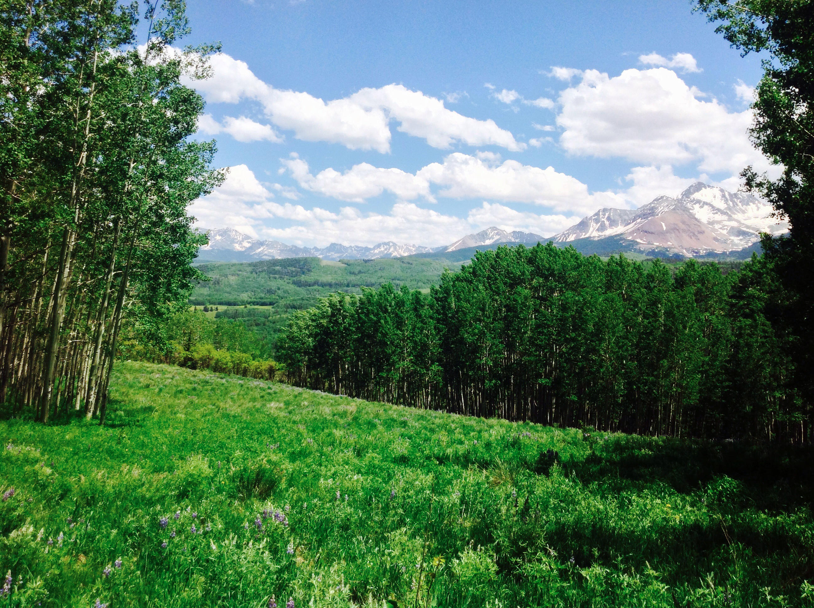 Lot 21 Little Cone Ranch Road Placerville, CO 81430 - Photo 17 of 24 To Your Heart's Content
