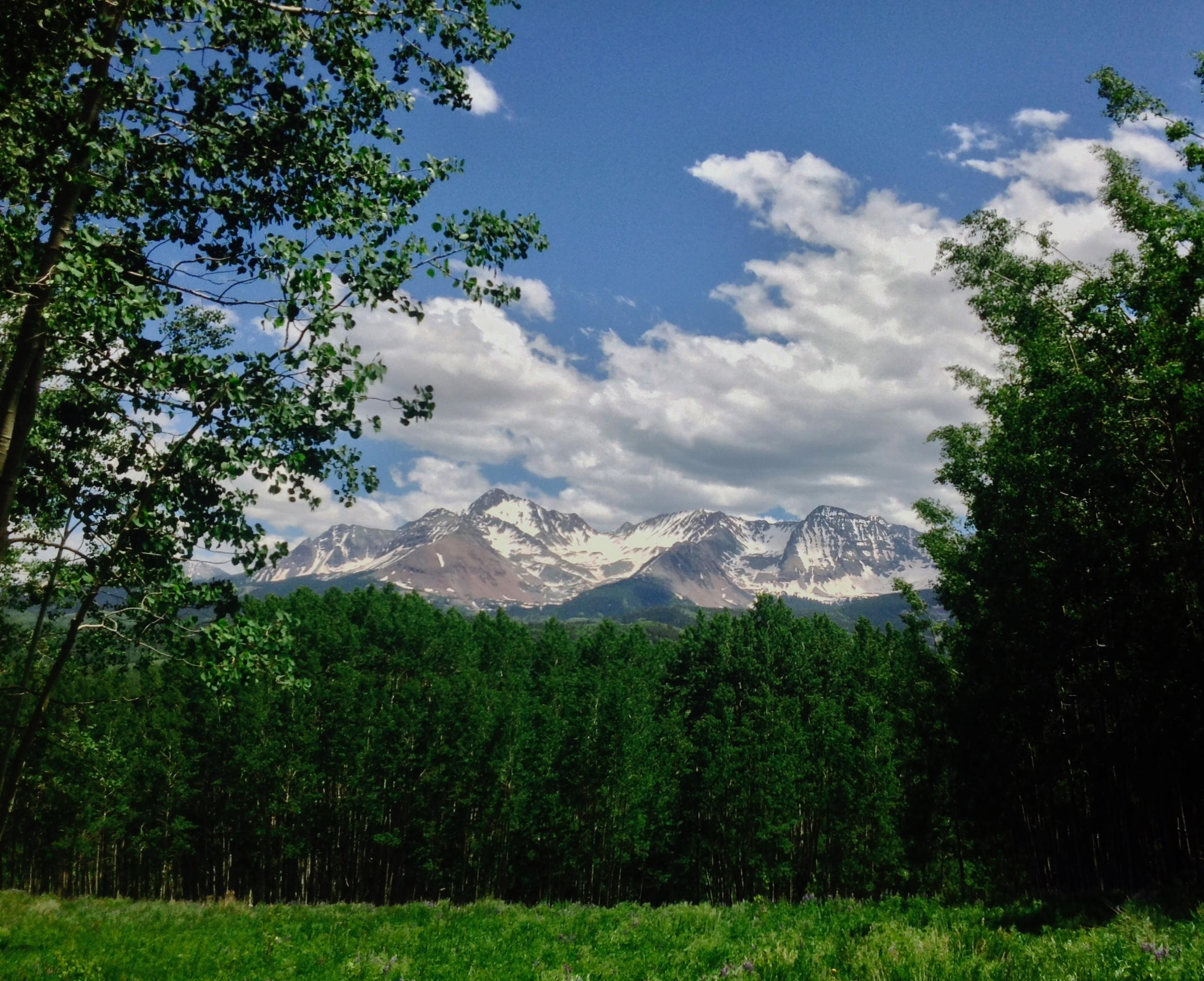 Lot 21 Little Cone Ranch Road Placerville, CO 81430 - Photo 21 of 24 Your Summer in The Rockies