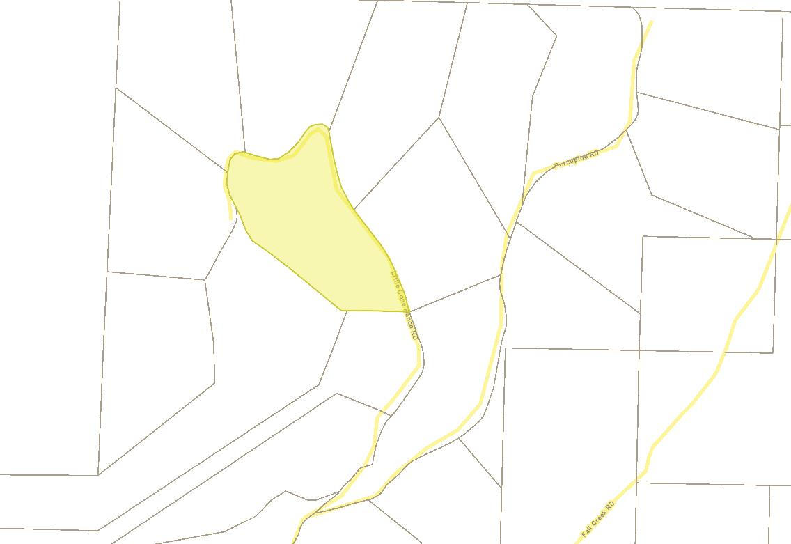 Lot 21 Little Cone Ranch Road Placerville, CO 81430 - Photo 22 of 24 Little Cone Lot 21 Plat Map II