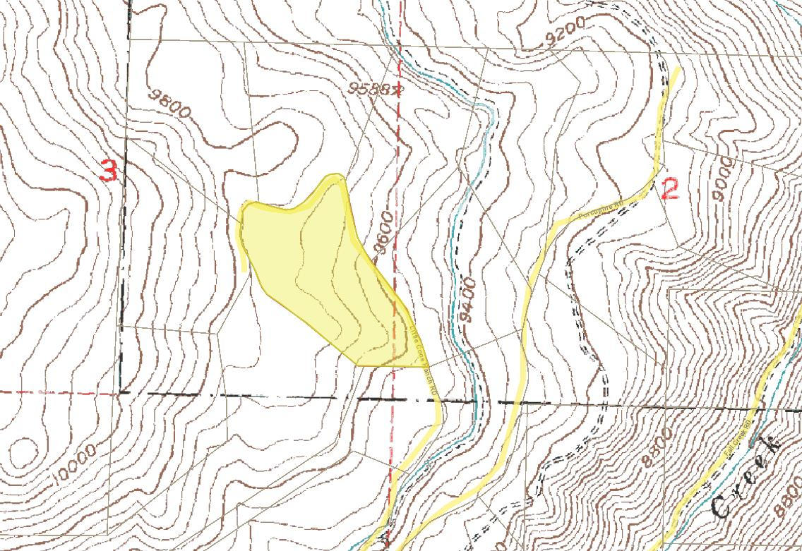 Lot 21 Little Cone Ranch Road Placerville, CO 81430 - Photo 23 of 24 Little Cone Ranch Lot 21 Topo