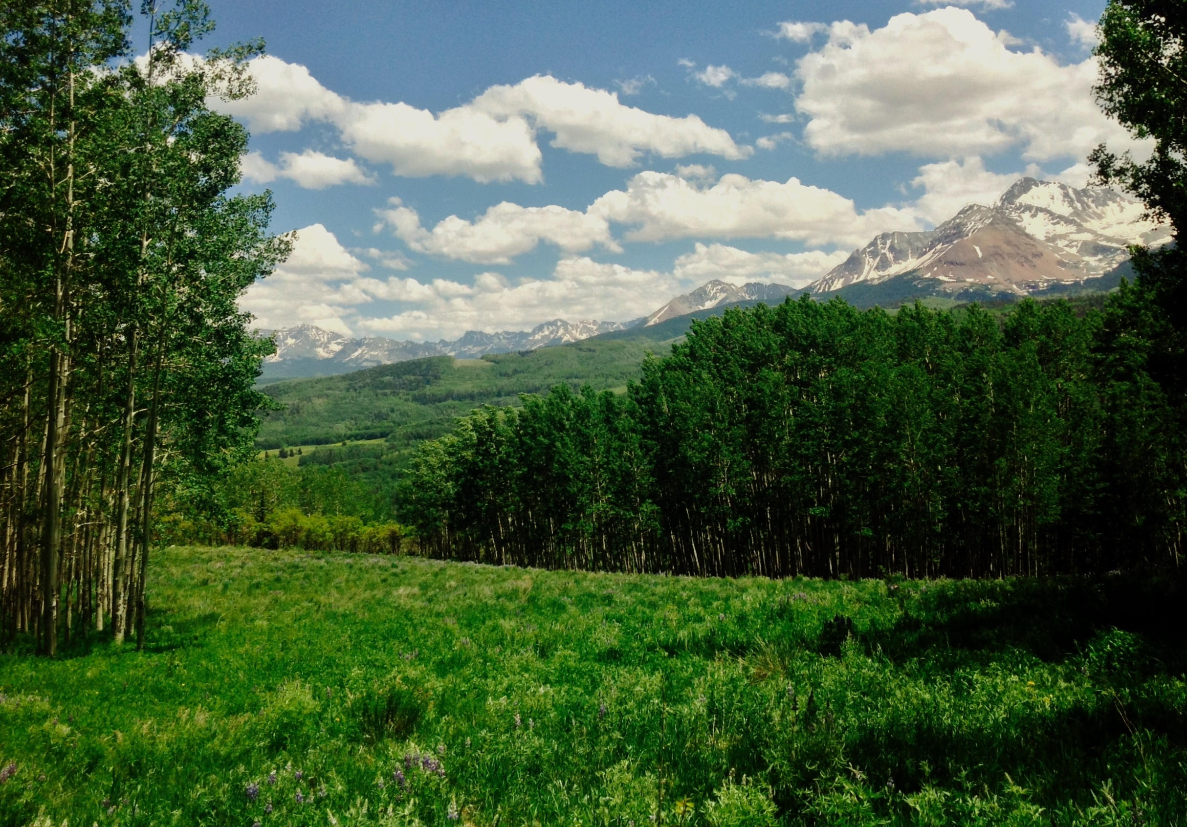 Lot 21 Little Cone Ranch Road Placerville, CO 81430 - Photo 10 of 24 Further Down the Wilson Range Opens UP