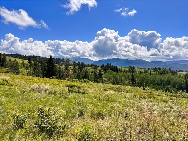 $129,000 | 27 Moonlight Drive, Curlew, WA 99118