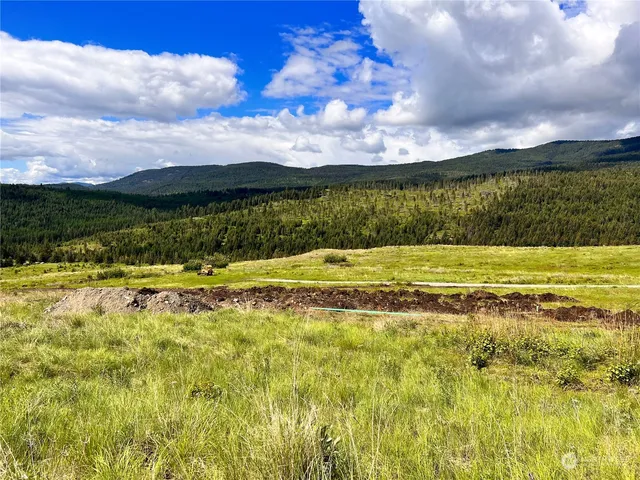 $129,000 | 27 Moonlight Drive, Curlew, WA 99118