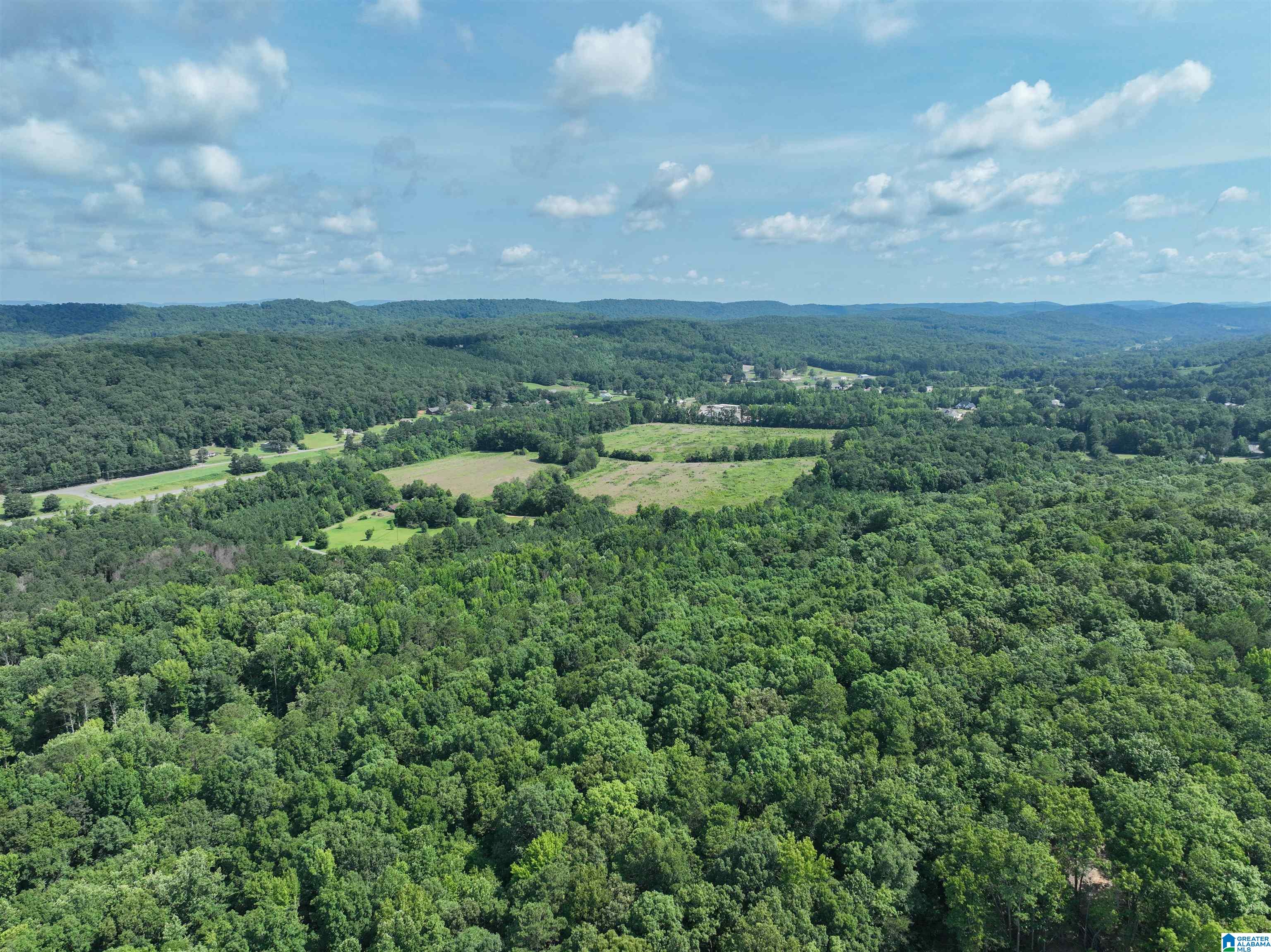 689 Beaver Creek Road Remlap, AL 35133 - Photo 59 of 64