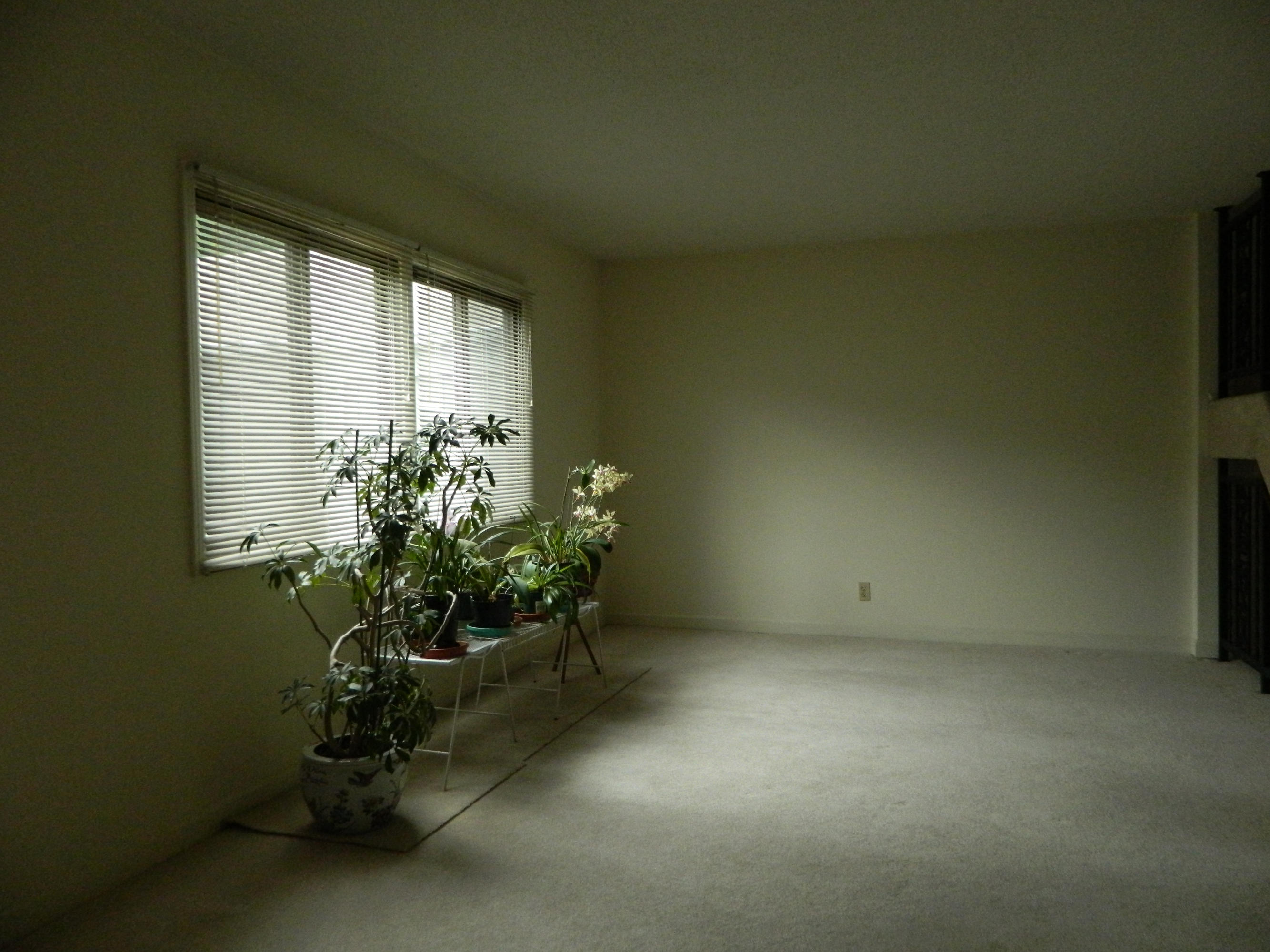 16 Brookside Drive Oak Ridge, TN 37830 - Photo 4 of 21 Living Room