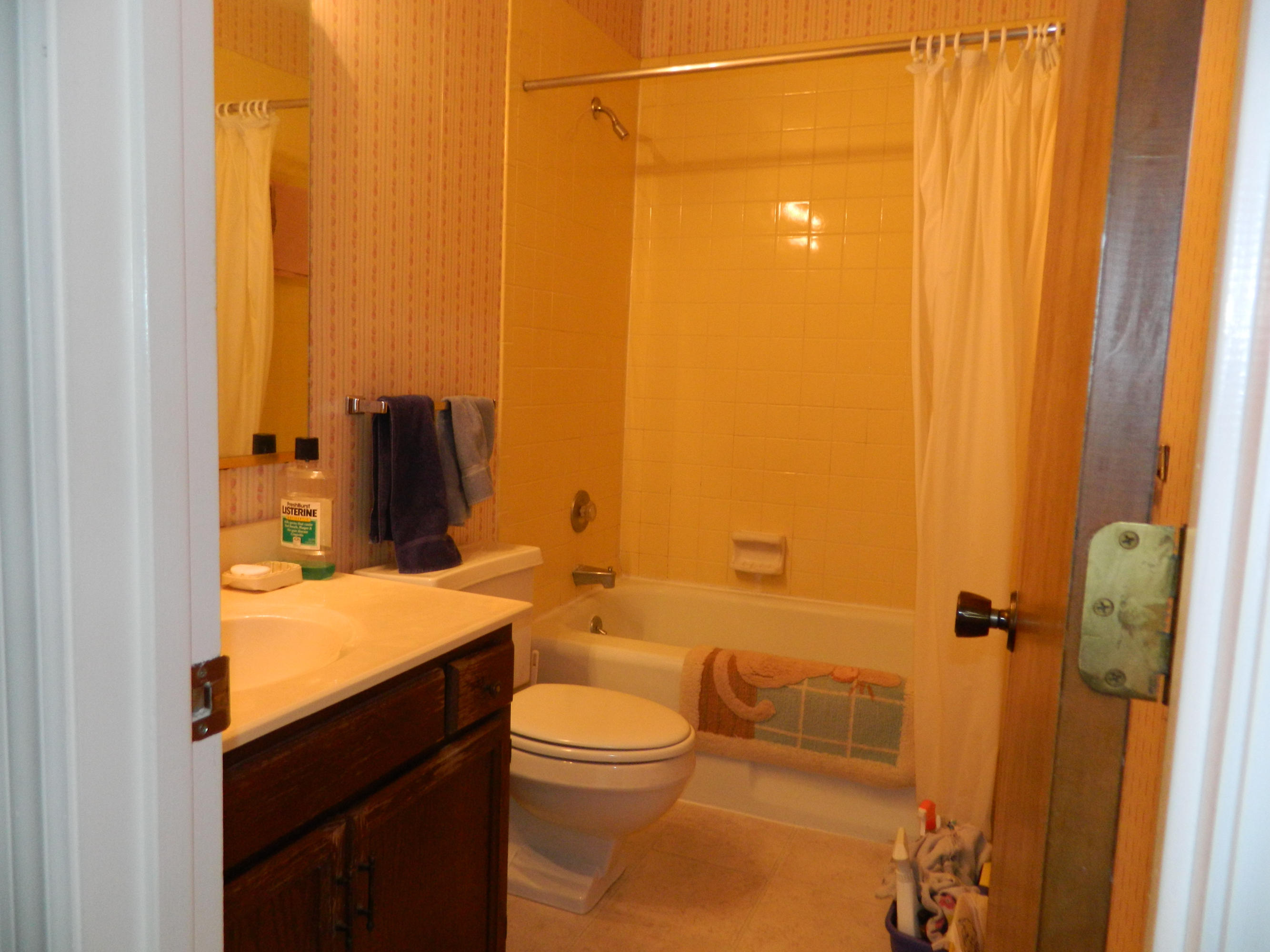16 Brookside Drive Oak Ridge, TN 37830 - Photo 10 of 21 Master Bath