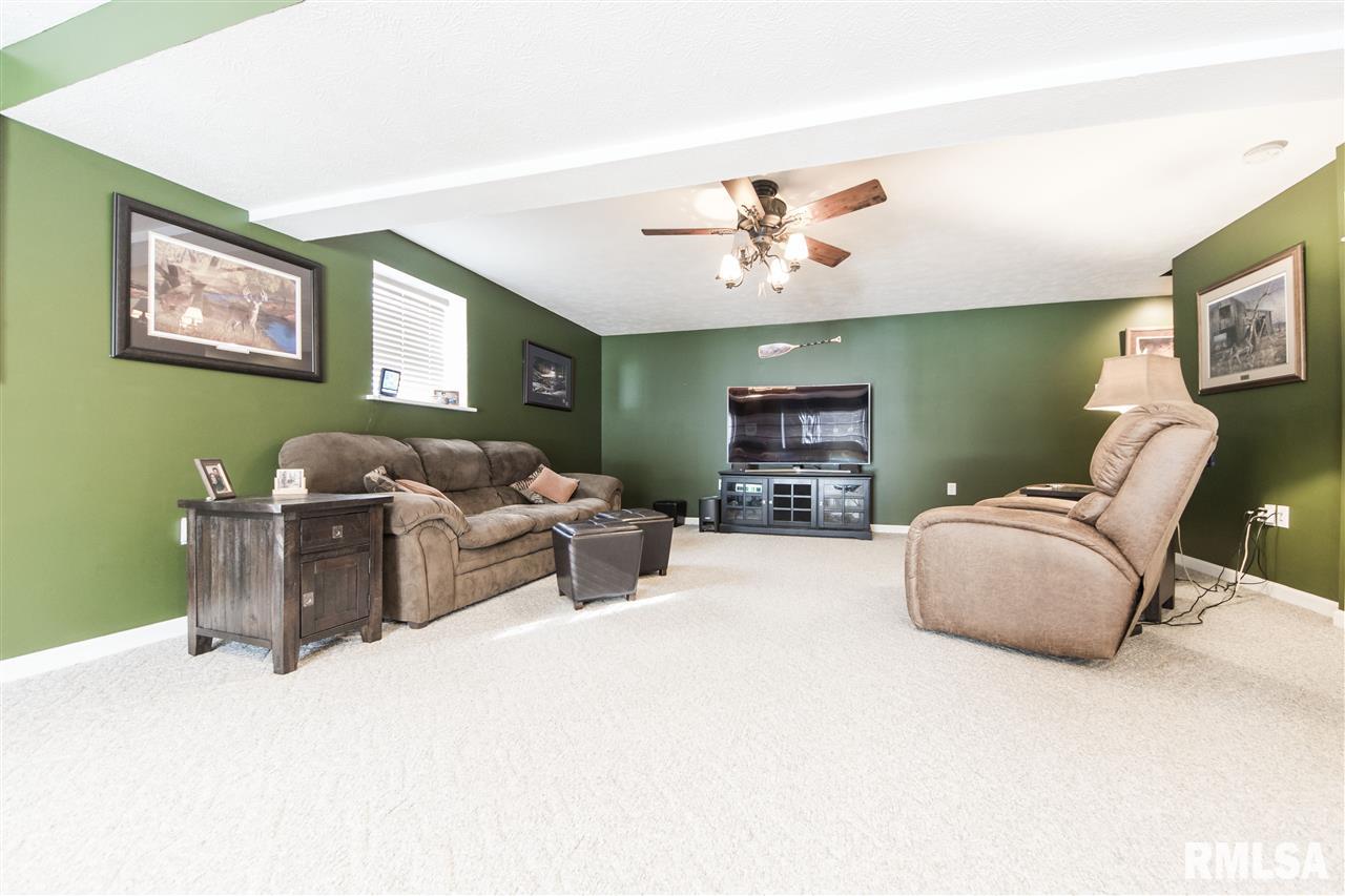 29271 Townline Road Mackinaw, IL 61755 - Photo 27 of 36