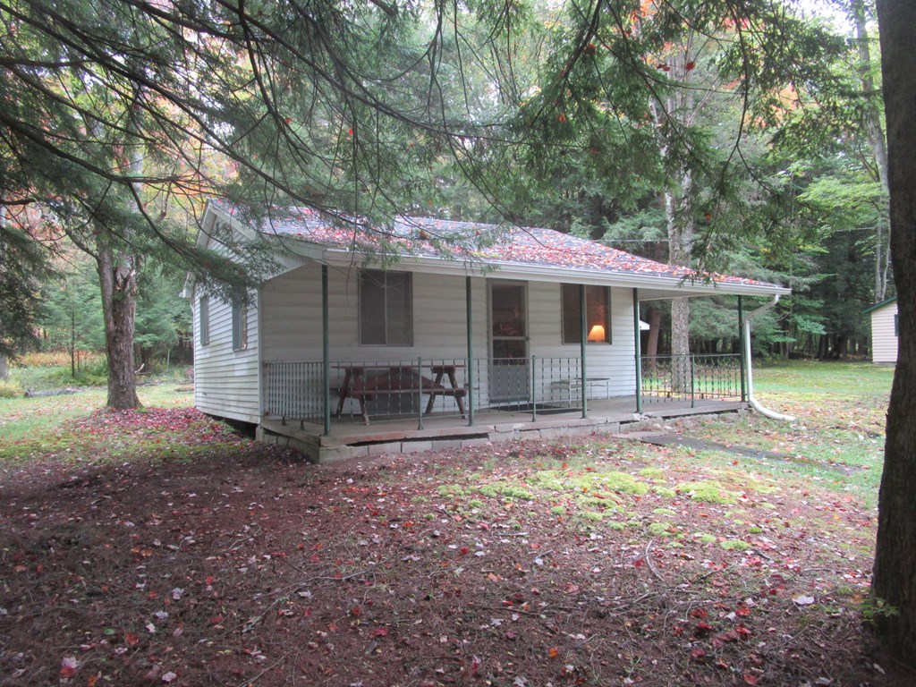 2178 Blue Jay Creek Road Marienville, PA 16239 - Photo 3 of 16